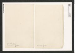 Campylodiscus crebrecostatus Grev. (de-Toni-Nr.: Genus 57, Species 2449) Zeichnungen Sammlung Grunow (NHMW-BOT-W0373132)